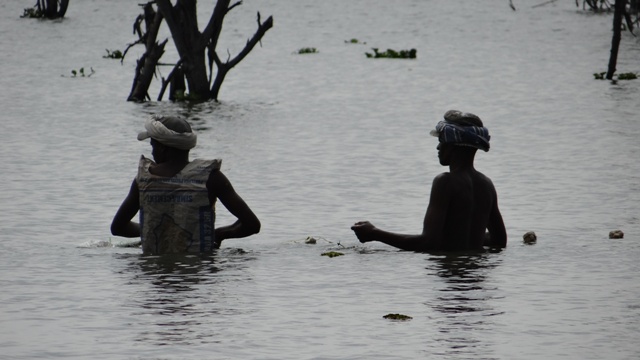 dsc00116_31111878420_o