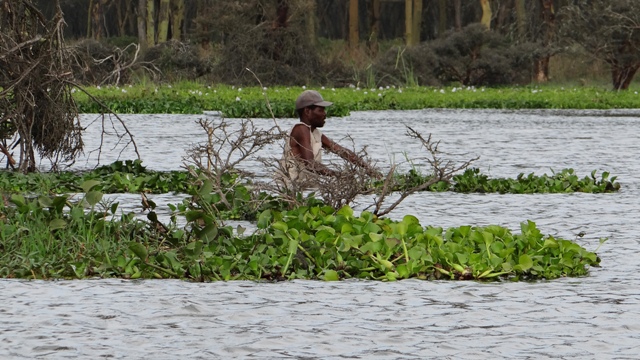 dsc00148aph_30674383593_o