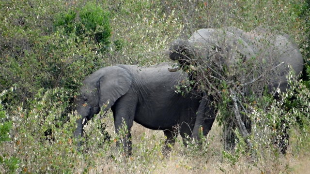 dsc00199aph_31113044680_o