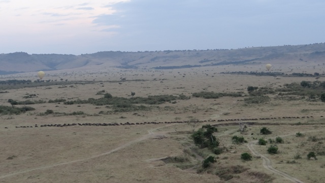 dsc00286aaa_31113019080_o