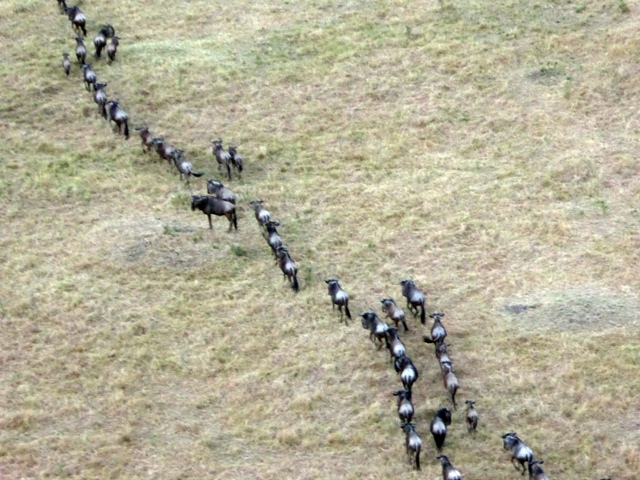 dsc00286aaph_31446937696_o