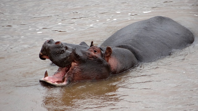 dsc00345aph_31337707242_o