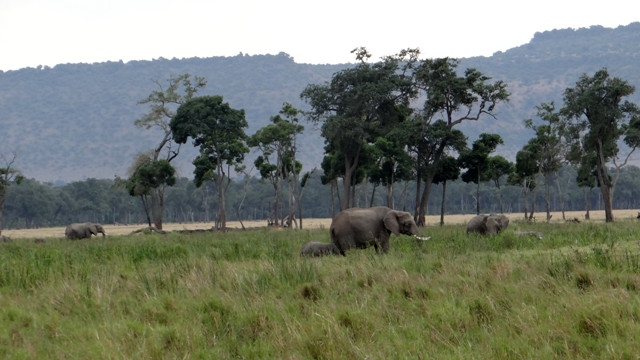 dsc00401aph_31112992010_o