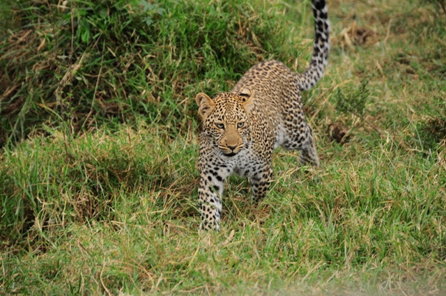 dsc00408bb_31112991340_o