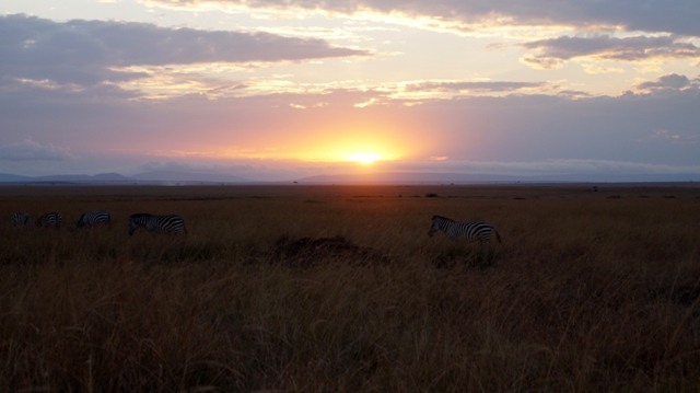 dsc00465dbaph_30675360703_o