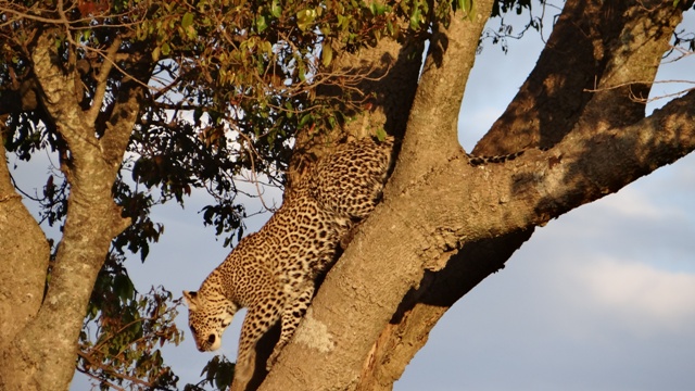 dsc00470_31368393151_o