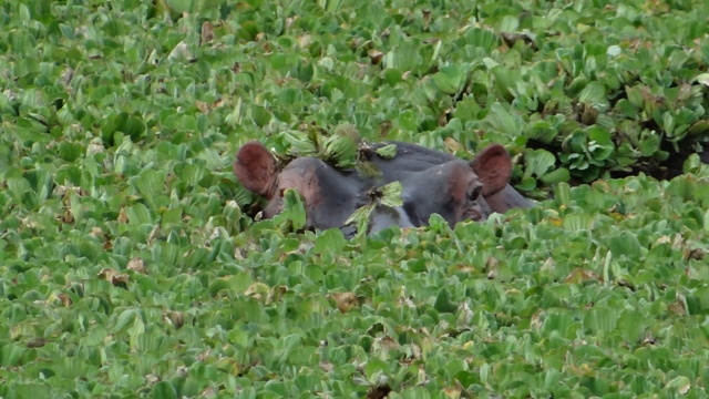 dsc00492_31337685992_o