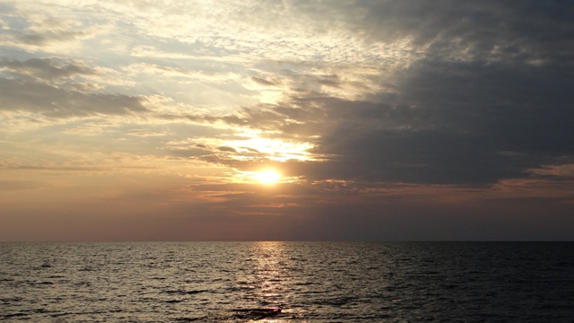 dsc00593aph_32876481736_o