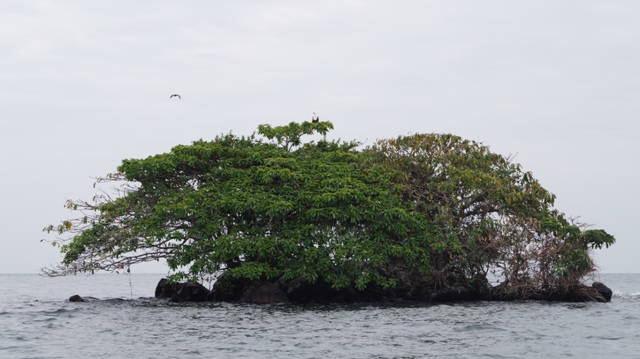 dsc00619bb_32916780555_o