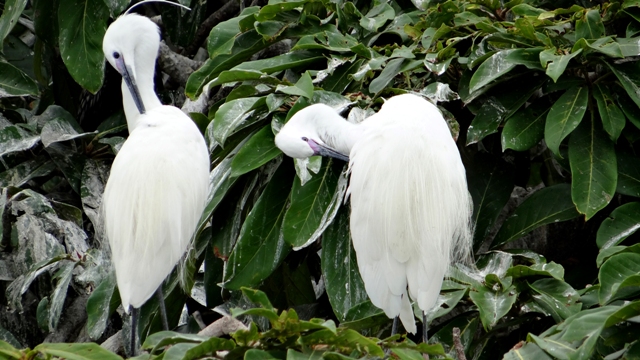 dsc00623aph_32763319062_o