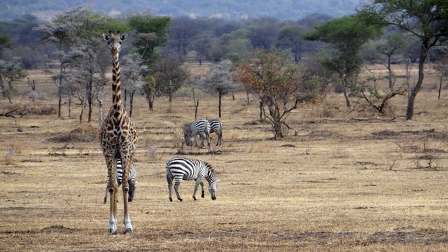 dsc00698aph_32763309682_o