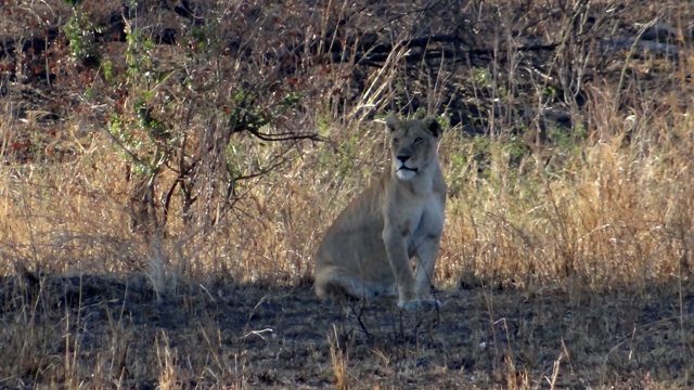 dsc00753aph_32763303632_o