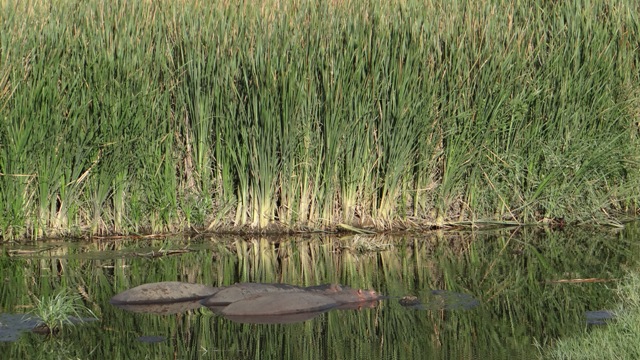 dsc00765_32916757175_o