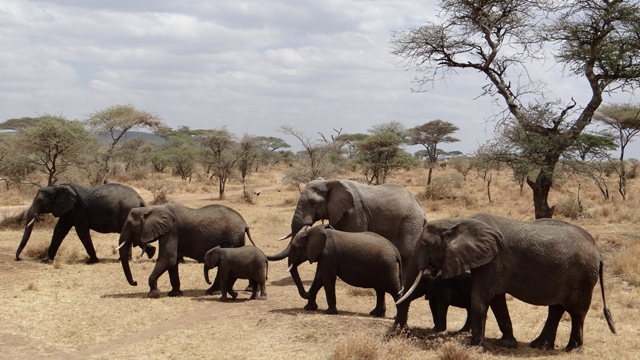 dsc00893aph_32763291492_o