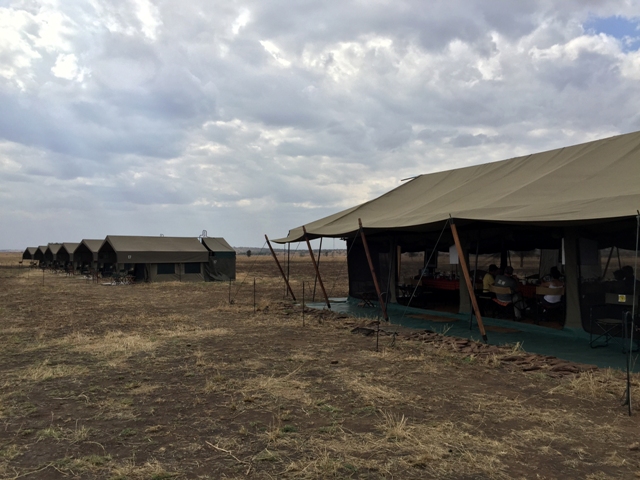 dsc00959dph_32074122664_o