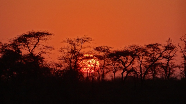 dsc00963_32074122334_o