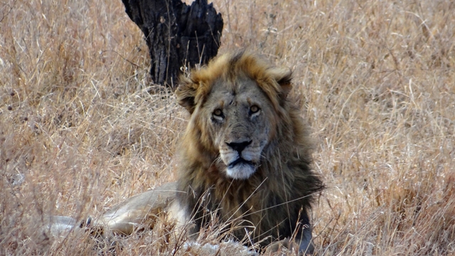 dsc00971aph_32074121994_o