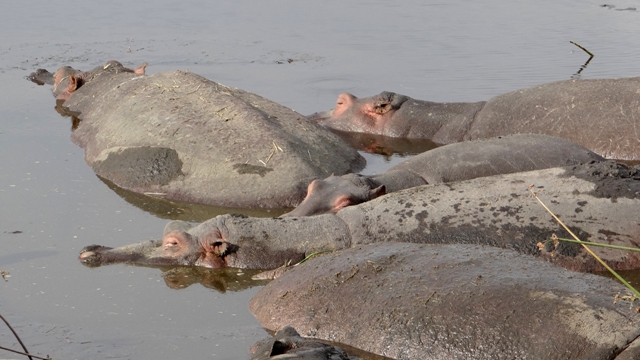 dsc01103aph_32102167633_o