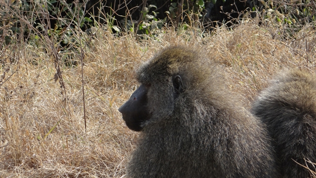 dsc01107aph_32102166073_o