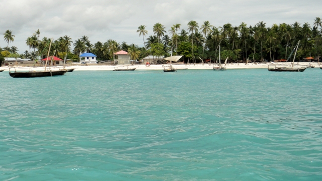 dsc01253zycph_32793039721_o