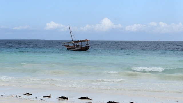 dsc01258aph_32074088244_o