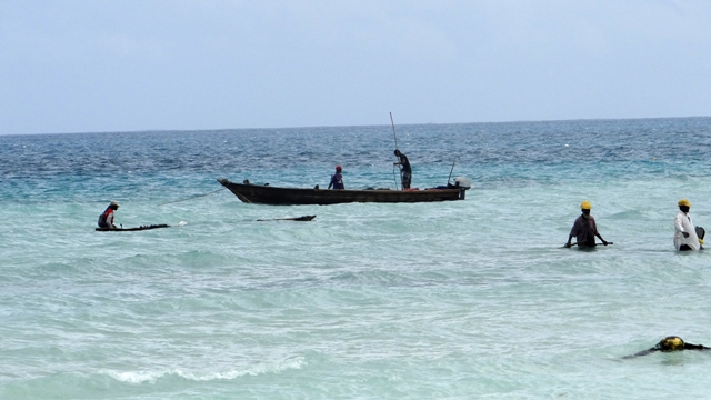 dsc01260ph_32074086134_o