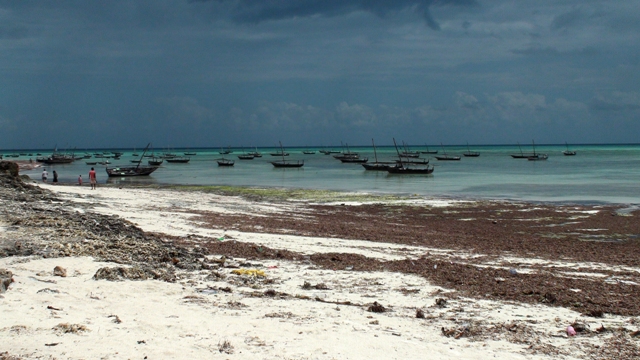 dsc01267aaph_32876395456_o