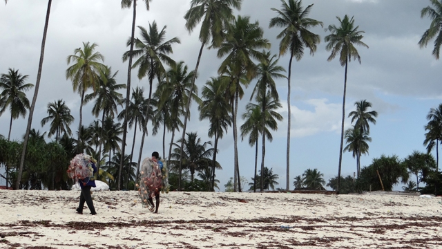 dsc01272aph_32074083054_o