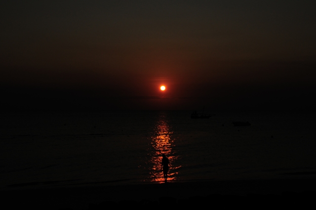 dsc01290fa_32102114663_o