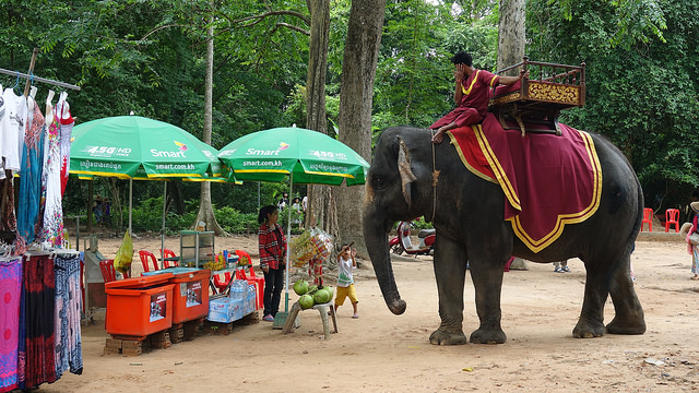 43226408240_460ebb37f5_z