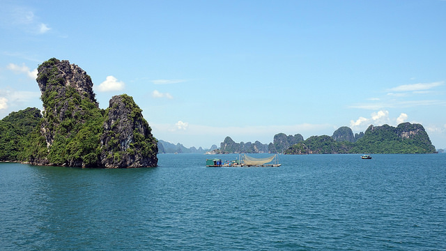 43662817180_814c432835_z