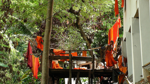 44220496865_5d47414086_z