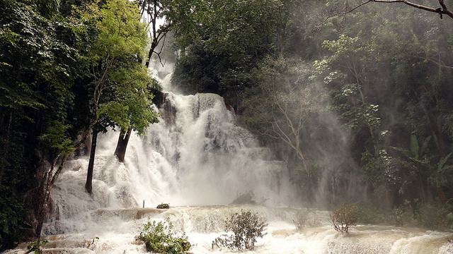 44220500675_13d7d253b1_z