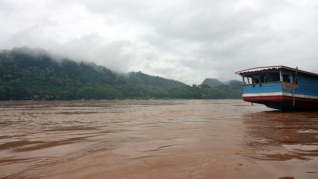 44411671704_ce75bd6ae0_z