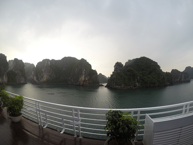 44754817664_72d8ff8376_z