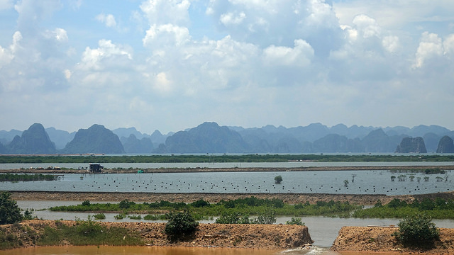 44754819664_5d5260dfba_z