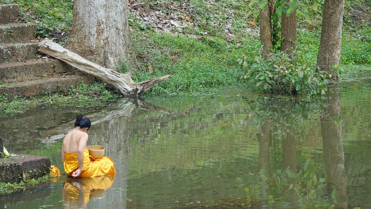 45037619821_7294b95ed6_k