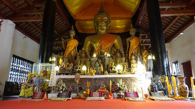 45083349692_956d69c322_z