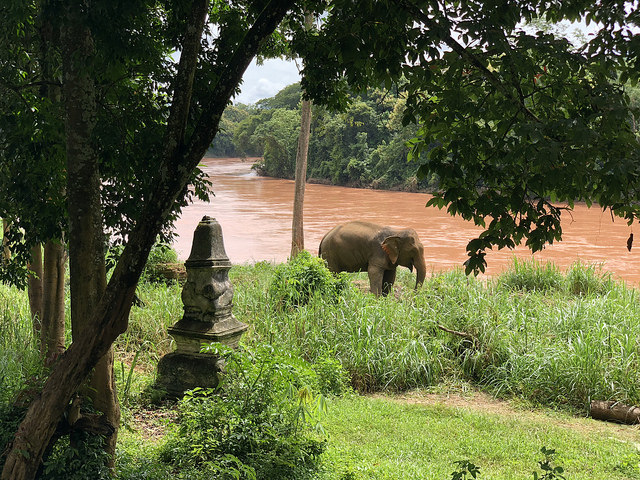 45132388611_a0b5bb3be8_z