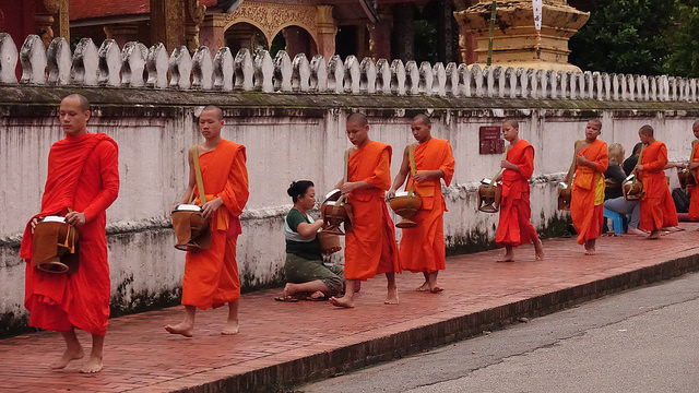 45132390331_c8608fb43d_z