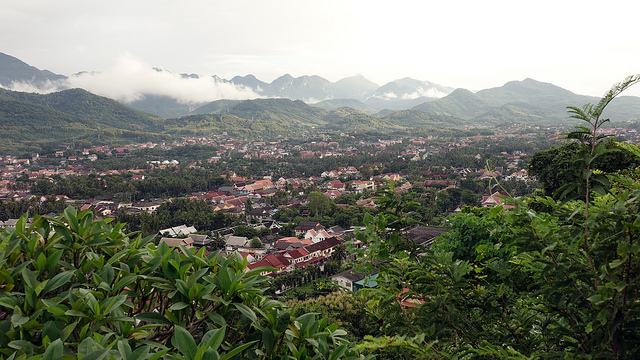 45132390531_a19f3446a2_z