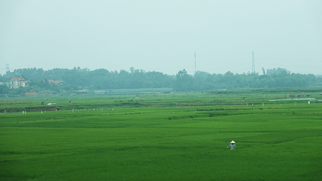 45428595712_a16b4b79f2_z