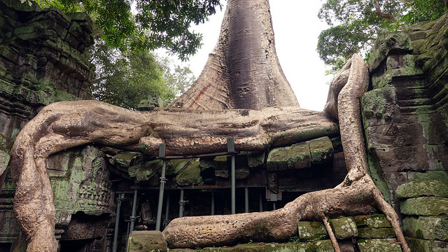 Ta Prohm