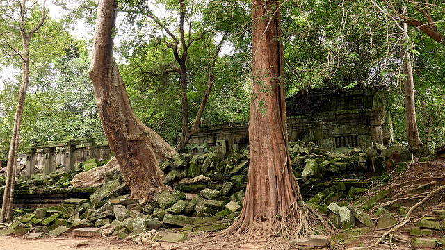 Templo Beng Mealea4