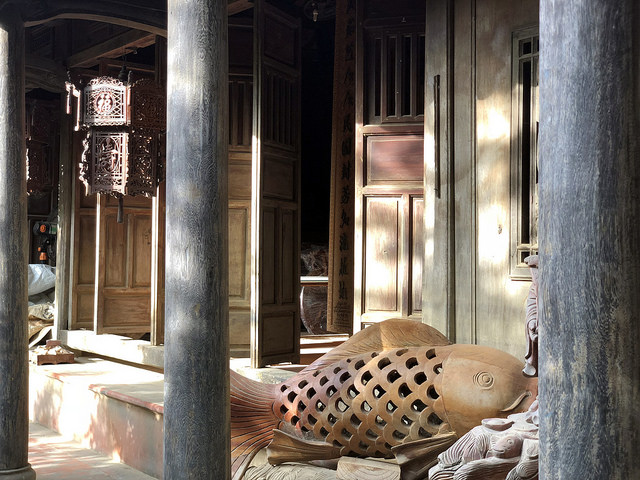 45669851832_1710d04946_z