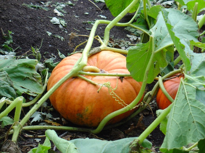 dsc00327a_8838808139_o