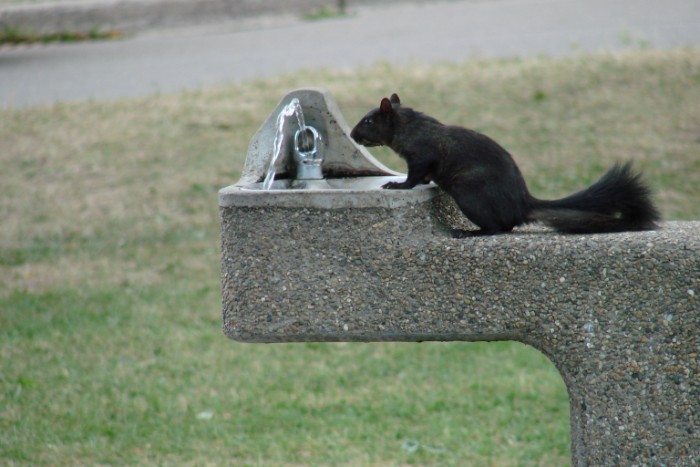 dsc00386_8838748801_o