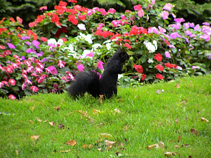 dsc00426ab_8839349982_o