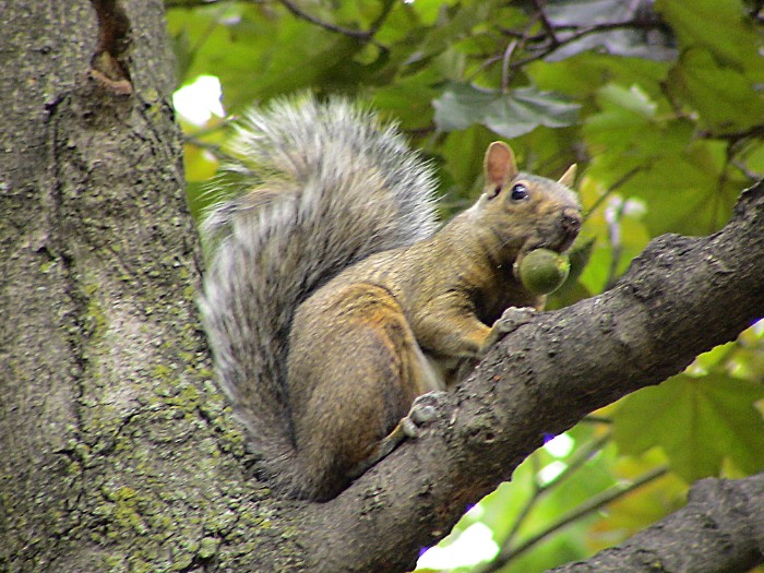 dsc00445ob_8839324394_o