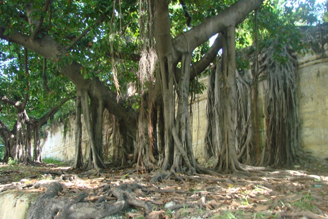 dsc00451garc_16442109681_o